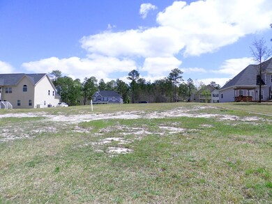 37 Inlet View, Barbecue, NC 27332 - photo 5