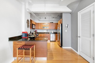 Boston Loft Condos unit 74, Boston, MA 02111 - photo 5