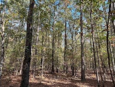 50 Hearthstone Dr, Carlton, GA 30627 - photo 7