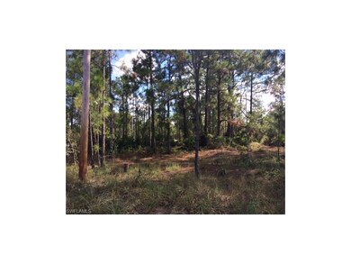 827 Oakridge Ave S, Lehigh Acres, FL 33974 - photo 6