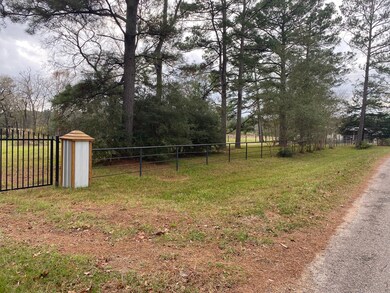 25835 Brushy Creek Dr, Hockley, TX 77447 - photo 4