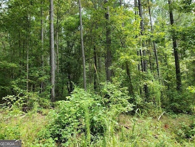 0 Goolsby Rd unit 10614178, Monticello, GA 31064 - photo 5