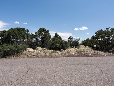 24 Mulberry Loop, Cedar Crest, NM 87008 - photo 4