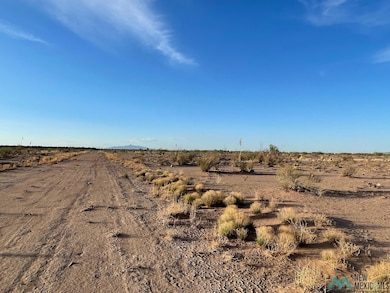 0 Yucca Land Estates unit 20253822, Deming, NM 88030 - photo 4