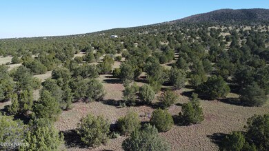 DJI_0271