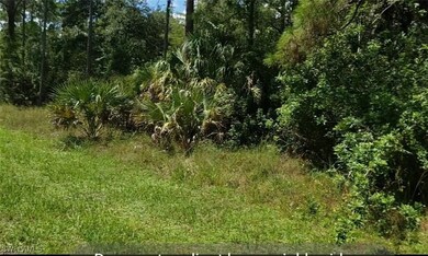 1707 Maple Ave N, Lehigh Acres, FL 33972 - photo 2