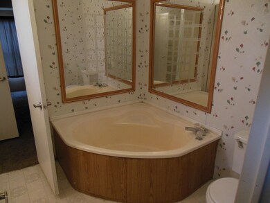 Master bath garden tub