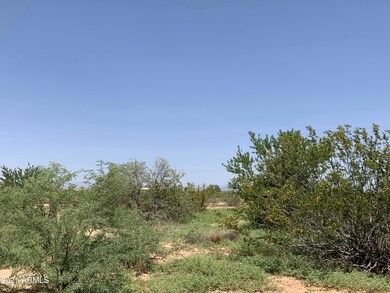 Abundant Vegetation!