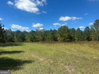 0 Tram Rd, Sylvania, GA 30467 - photo 4