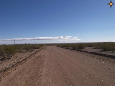 0 College Heights Bk 2 Lots 3 & 4 unit 20166075, Columbus, NM 88029 - photo 3