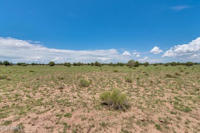 25 Indian Springs Rd unit 2, Ash Fork, AZ 86320 - photo 5
