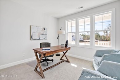 2745 Alvernia Dr, Castle Hayne, NC 28429 - photo 5