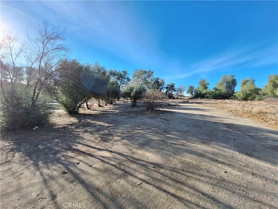 71 Juniper Flats Rd, Nuevo, CA 92567 - photo 4