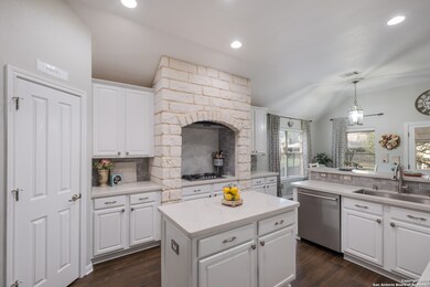 25814 Santolina, San Antonio, TX 78261 - photo 4