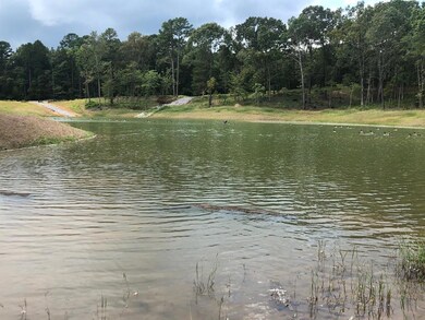 601 Water Oak Dr, Lafayette, MS 38655 - photo 5