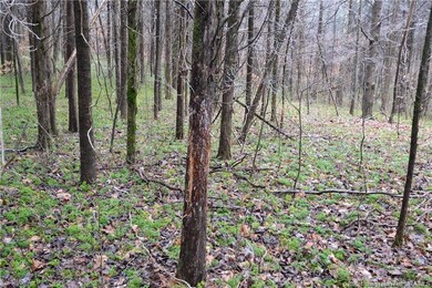 7a Owans Ln NE unit 7.2A, Harrison Township, IN 47112 - photo 7