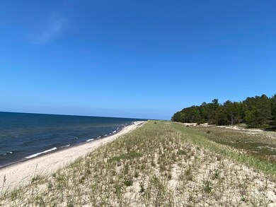 Parcel D Co Rd 412 Newberry, MI