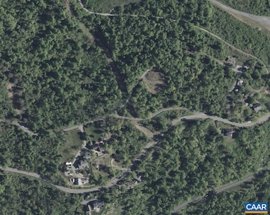 Block A Lot 3 Swannanoa Ln unit 1, Afton, VA 22920 - photo 3