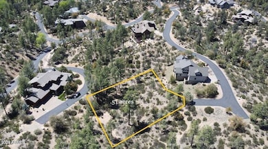 Lot 241