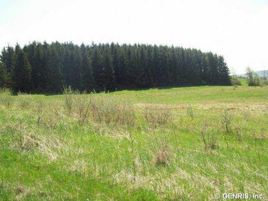 Land. North side of the property. Photo taken from