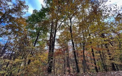 6 Morgan Ridge Ct, Young Harris, GA 30582 - photo 6