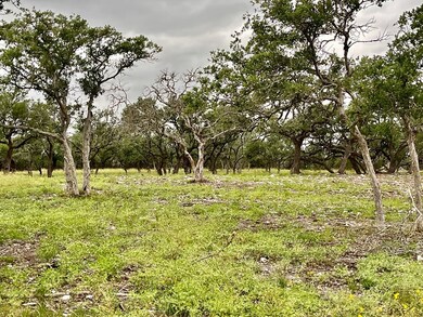 Tract 2 Rare Eagle Dr unit 2, Fredericksburg, TX 78624 - photo 3