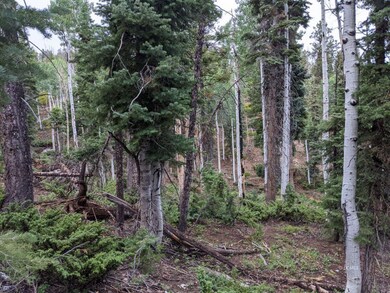 35 S Solitude, Duck Creek Village, UT 84762 - photo 2