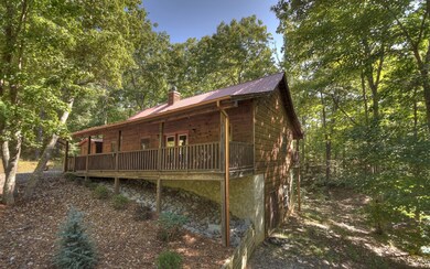 Additional View