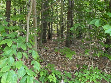 130 Granite Rd, Ossipee, NH 03864 - photo 4