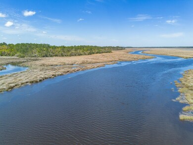 0 U S 17, Waverly, GA 31565 - photo 5