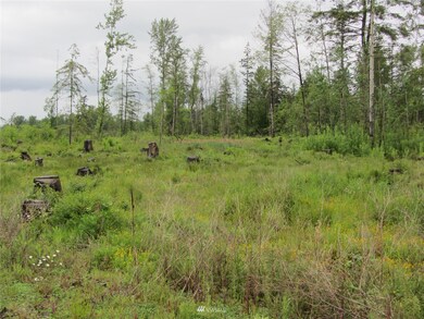 0 XXXX Loomis Trail Rd, Blaine, WA 98230 - photo 7