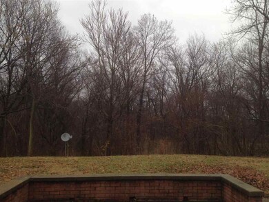 Backyard view from patio