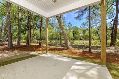 Back Patio