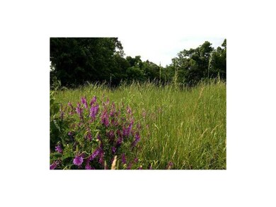 13547 Meadow Ridge, Fayetteville, AR 72704 - photo 6