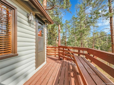 26731 Vosler St, Conifer, CO 80433 - photo 6