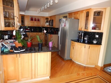 10166 Potter Rd, Des Plaines, IL 60016 - photo 7