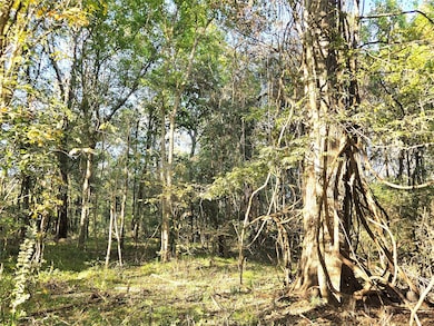 TBD County Road 2167, Cleveland, TX 77327 - photo 6