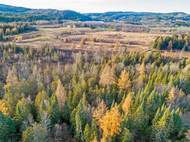 - Hall Stream & White Branch Rd, Pittsburg, NH 03592 - photo 2