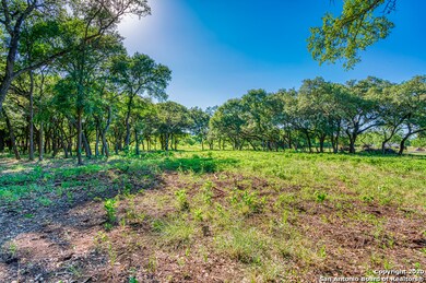 24709 Breeze Oak Ln, Cross Mountain, TX 78255 - photo 5