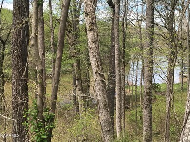 Lots 6-7 water front Sequoia Dr. Tellico