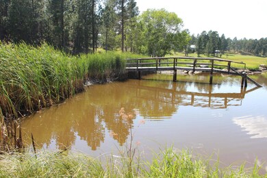 12265 Weaver Dr, Custer, SD 57730 - photo 6