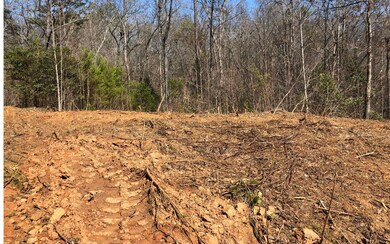 LT 21 Spring Run Dr, Blue Ridge, GA 30513 - photo 3