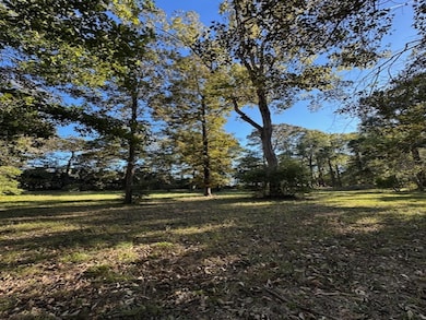 10695 Magnolia Dr, Conroe, TX 77303 - photo 3