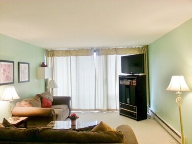 197 W Armitage Ave unit 101, Elmhurst, IL 60126 - photo 4