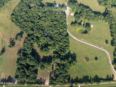 0 Cane Creek Rd unit 4132139, Flora, MS 39071 - photo 5