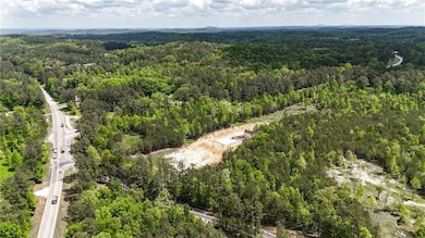 Bird's eye view of a forest