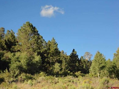 0 Sleger Rd unit 697804, Fort Garland, CO 81133 - photo 6