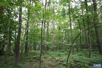 256 Pedlars Edge Dr unit 17, Rockfish, VA 22967 - photo 3