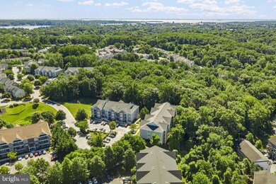 657 Burtons Cove Way unit 2, Annapolis, MD 21401 - photo 7