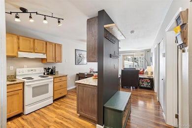 22974 Us Highway 6 unit 102, Dillon, CO 80435 - photo 7